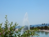 DSCN2343