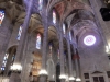 DSCN2346