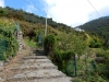 DSCN2493