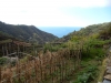 DSCN2497