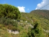 DSCN2508