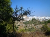 dscn2120