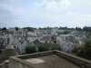 dscn2211