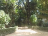wp_000056