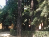 wp_000058