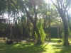 wp_000059