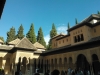 wp_000119