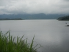 DSCN4696