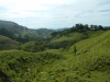 DSCN4733
