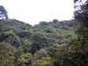DSCN4744