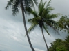 DSCN5041
