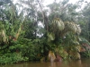 DSCN5200