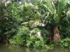 DSCN5284