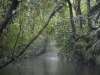 DSCN5296