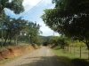 DSCN5404