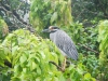 DSCN5203