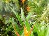 DSCN4680