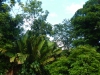 DSCN5235