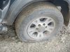 DSCN5425