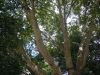 DSCN2342