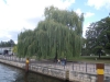 DSCN2410