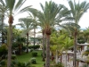DSCN0085