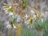 DSCN0095