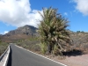 DSCN0102