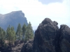 DSCN0151