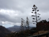 DSCN0158