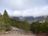 DSCN0118