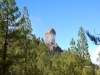 DSCN0126
