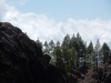 DSCN0133