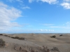 DSCN0185