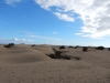 DSCN0187