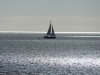 DSCN0202
