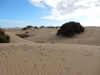 DSCN0206