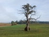 DSCN0018