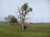 DSCN0026