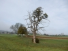DSCN0027
