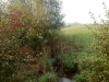 DSCN0030