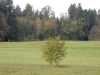 DSCN0038
