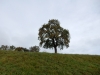 DSCN0041