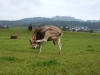 DSCN0044