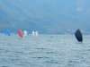 Schiffahrt auf dem Gardasee