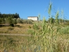 Toskana-Impressionen