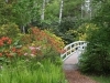 thumbs_02