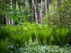 thumbs_05
