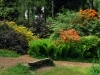thumbs_06