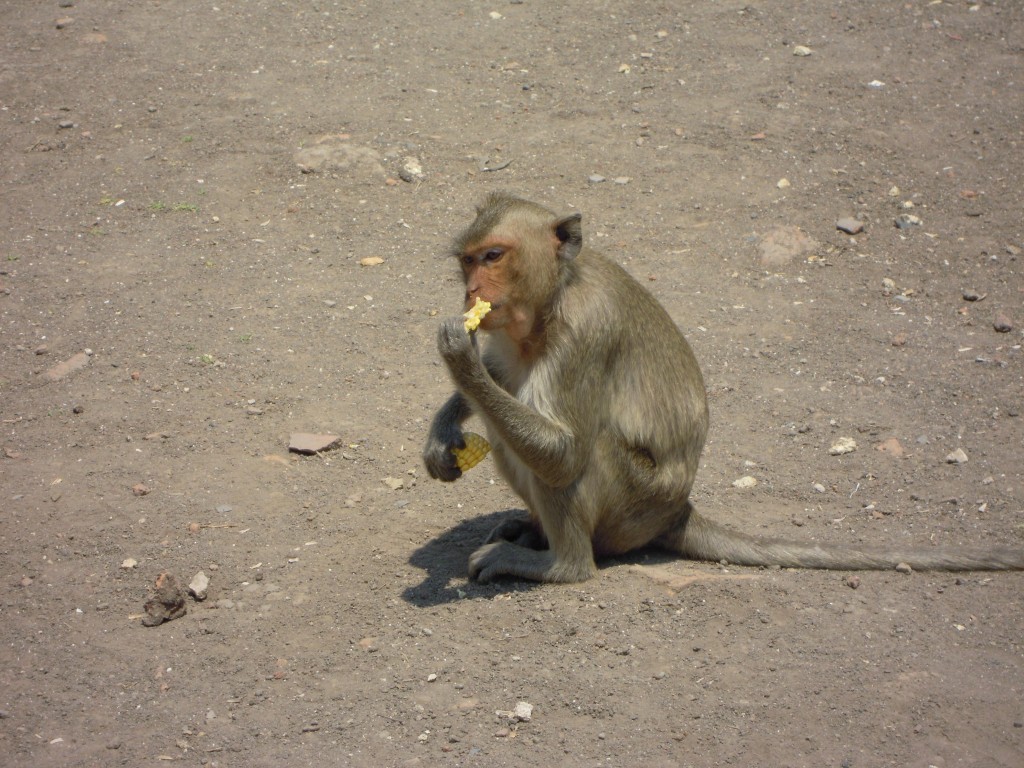 DSCN1155